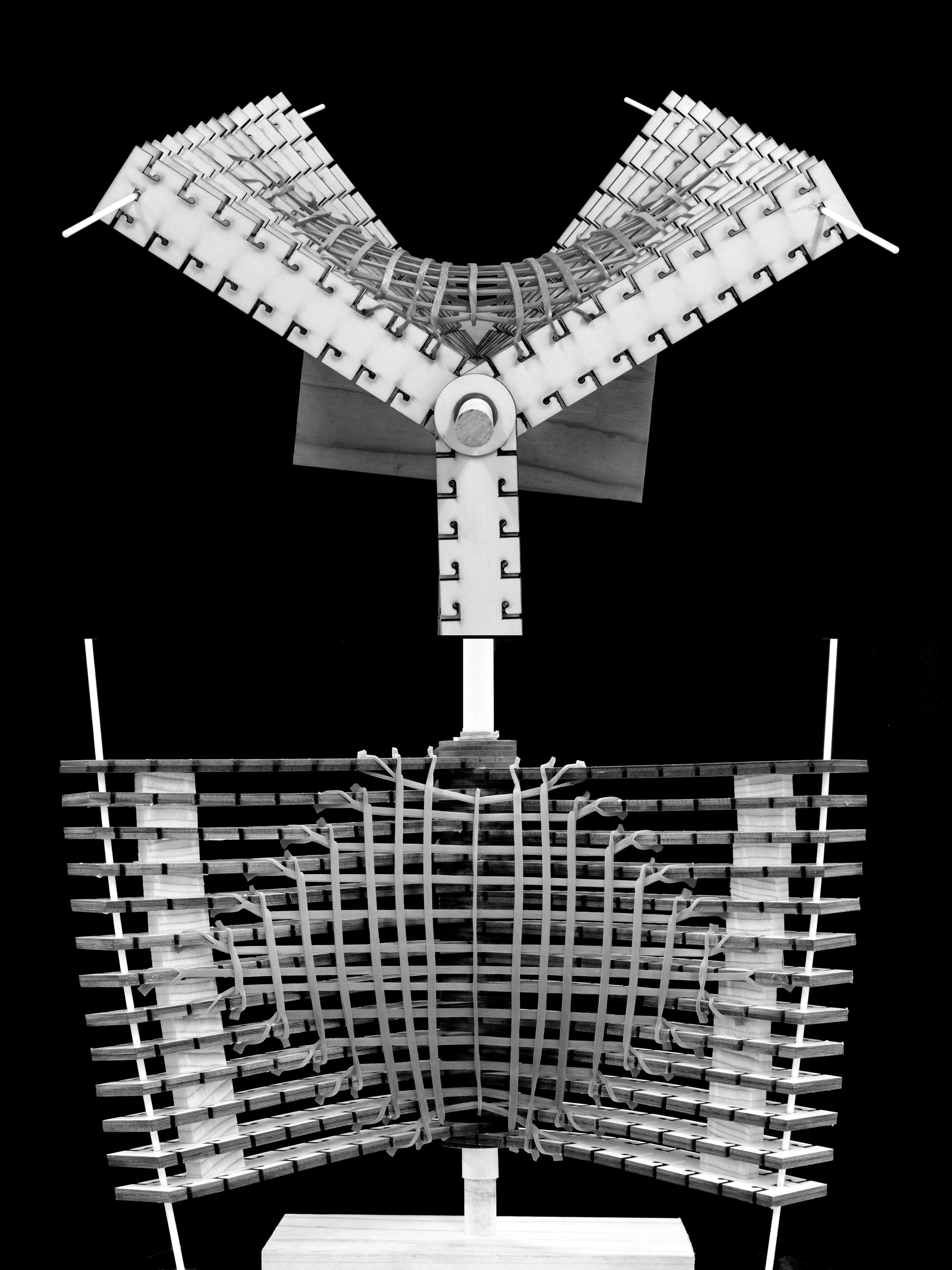 State 15 — alternate view