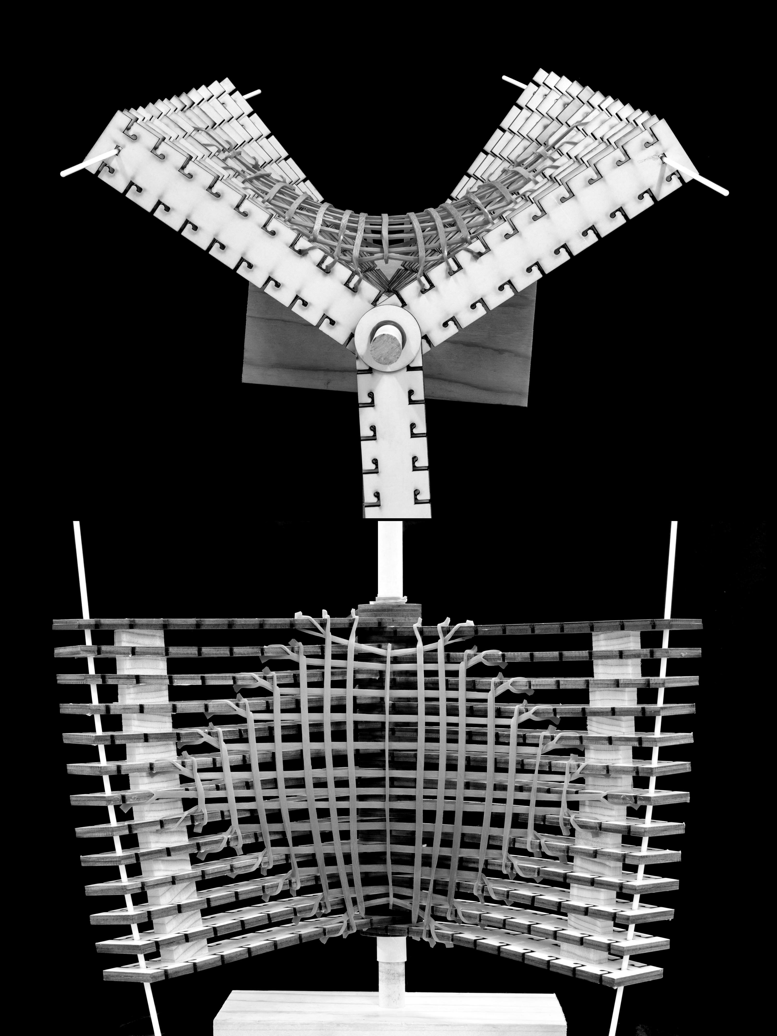 State 16 — alternate view
