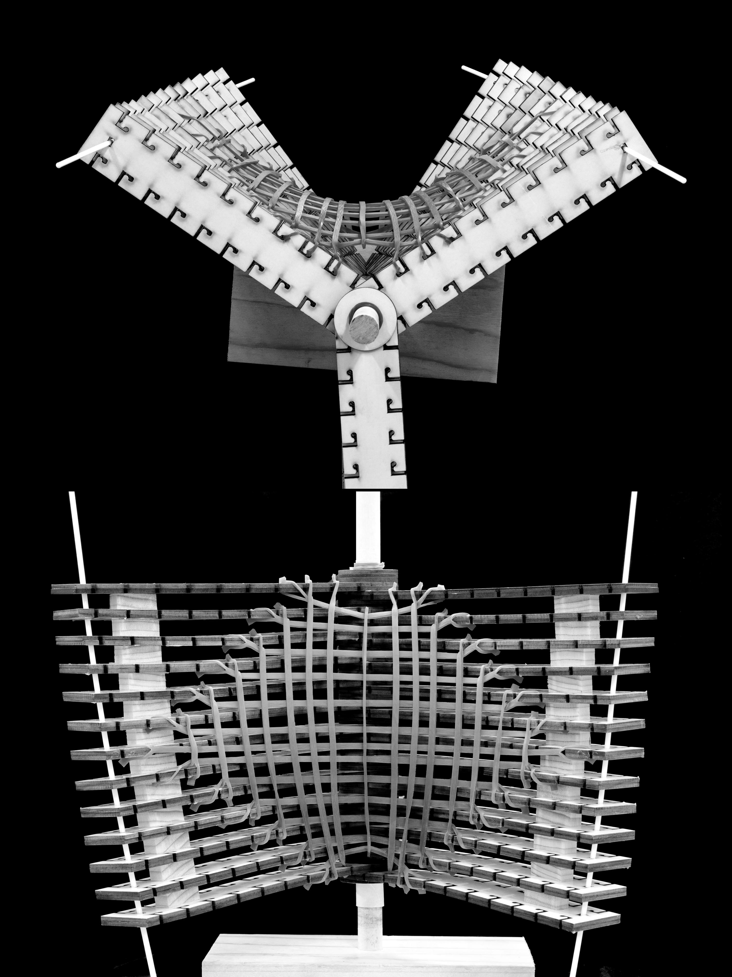 State 17 — alternate view