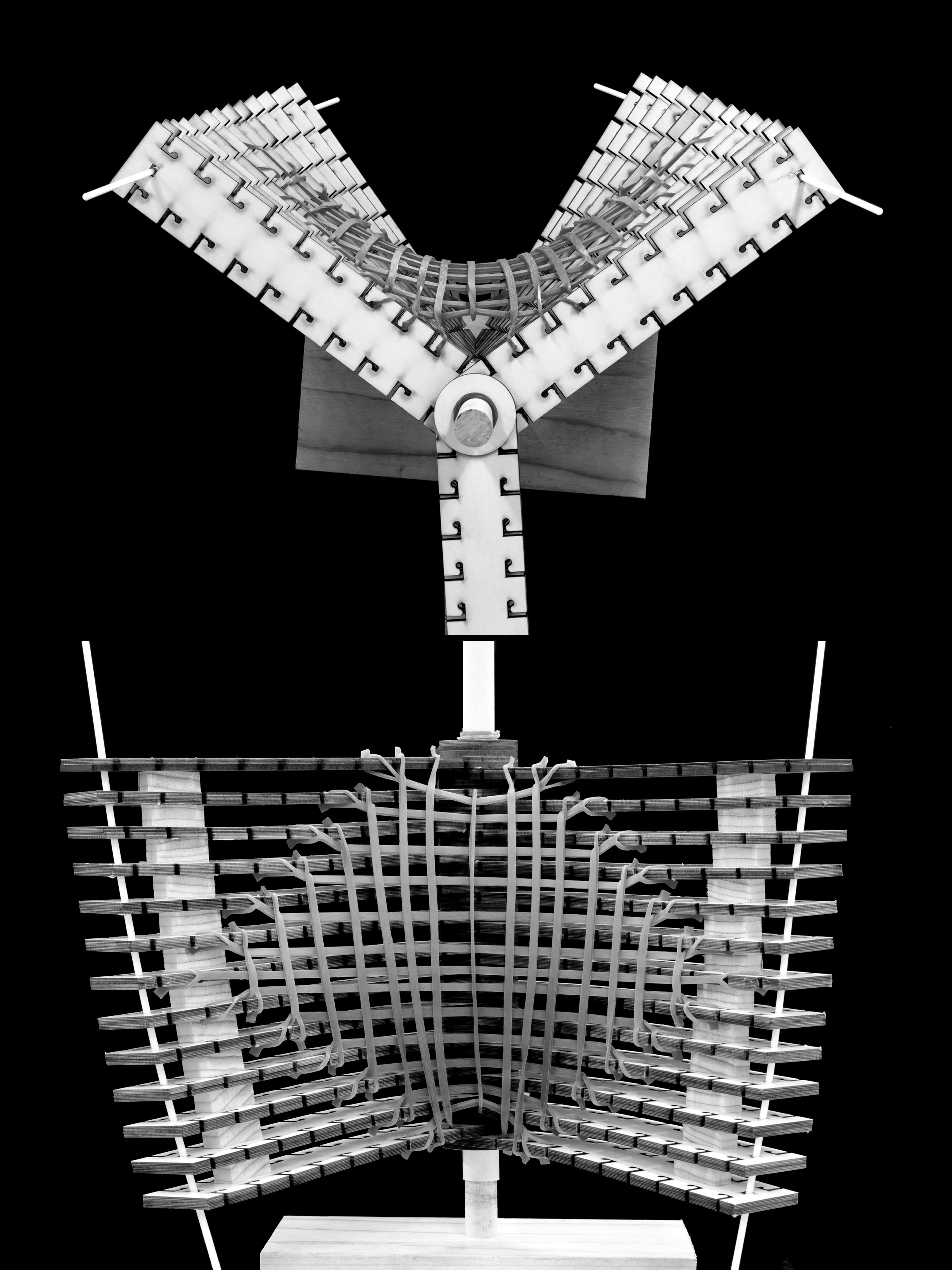 State 18 — alternate view