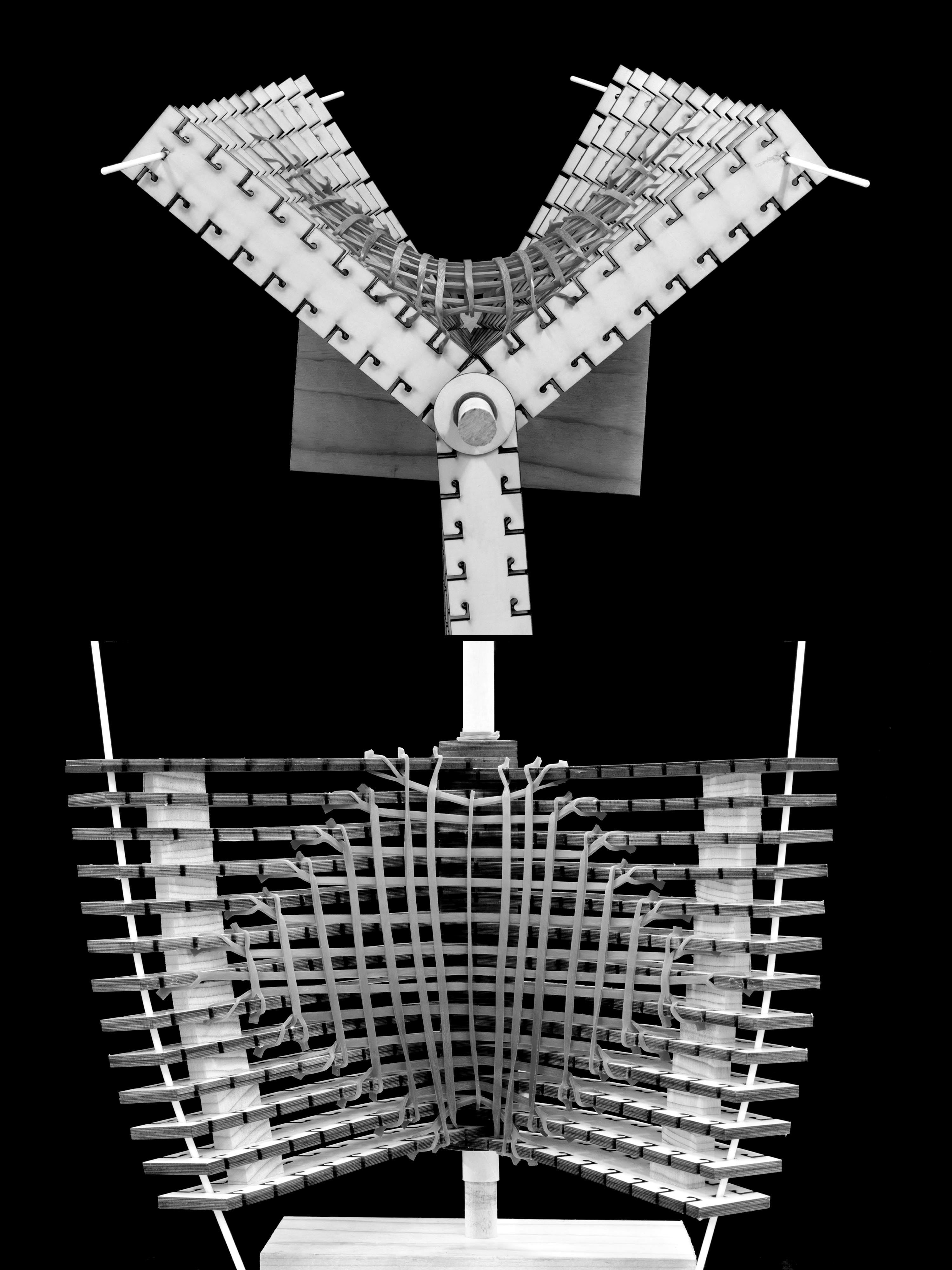 State 19 — alternate view