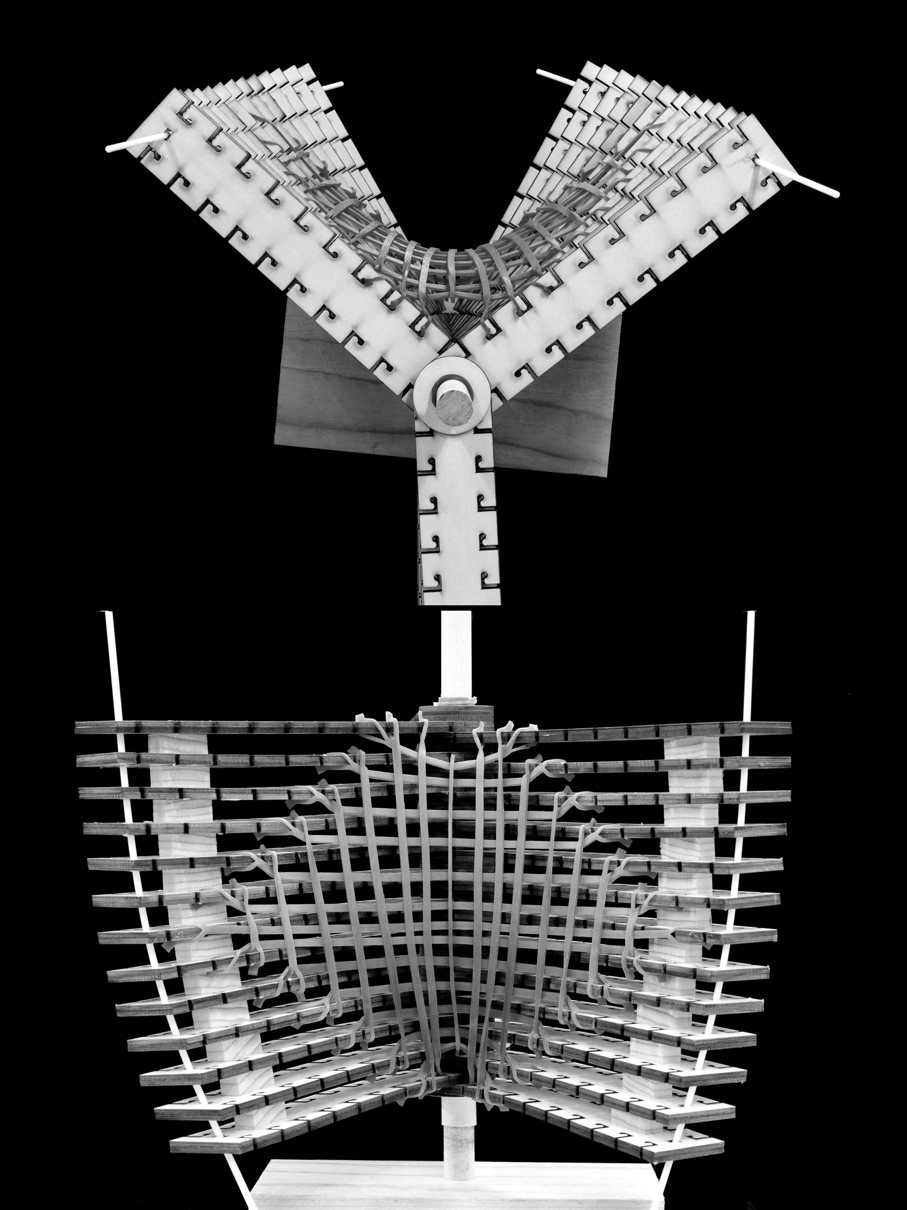 State 20 — alternate view