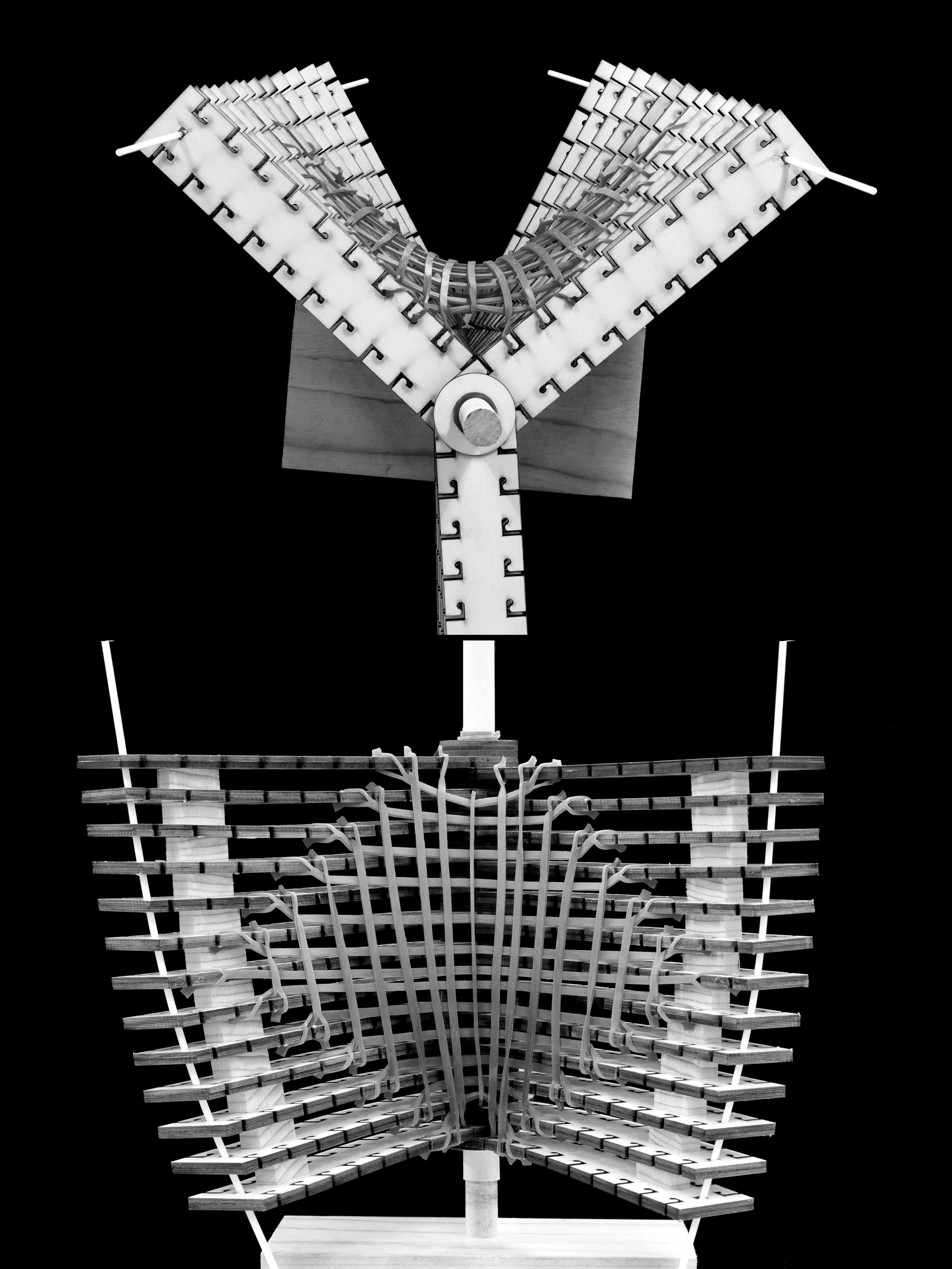 State 21 — alternate view