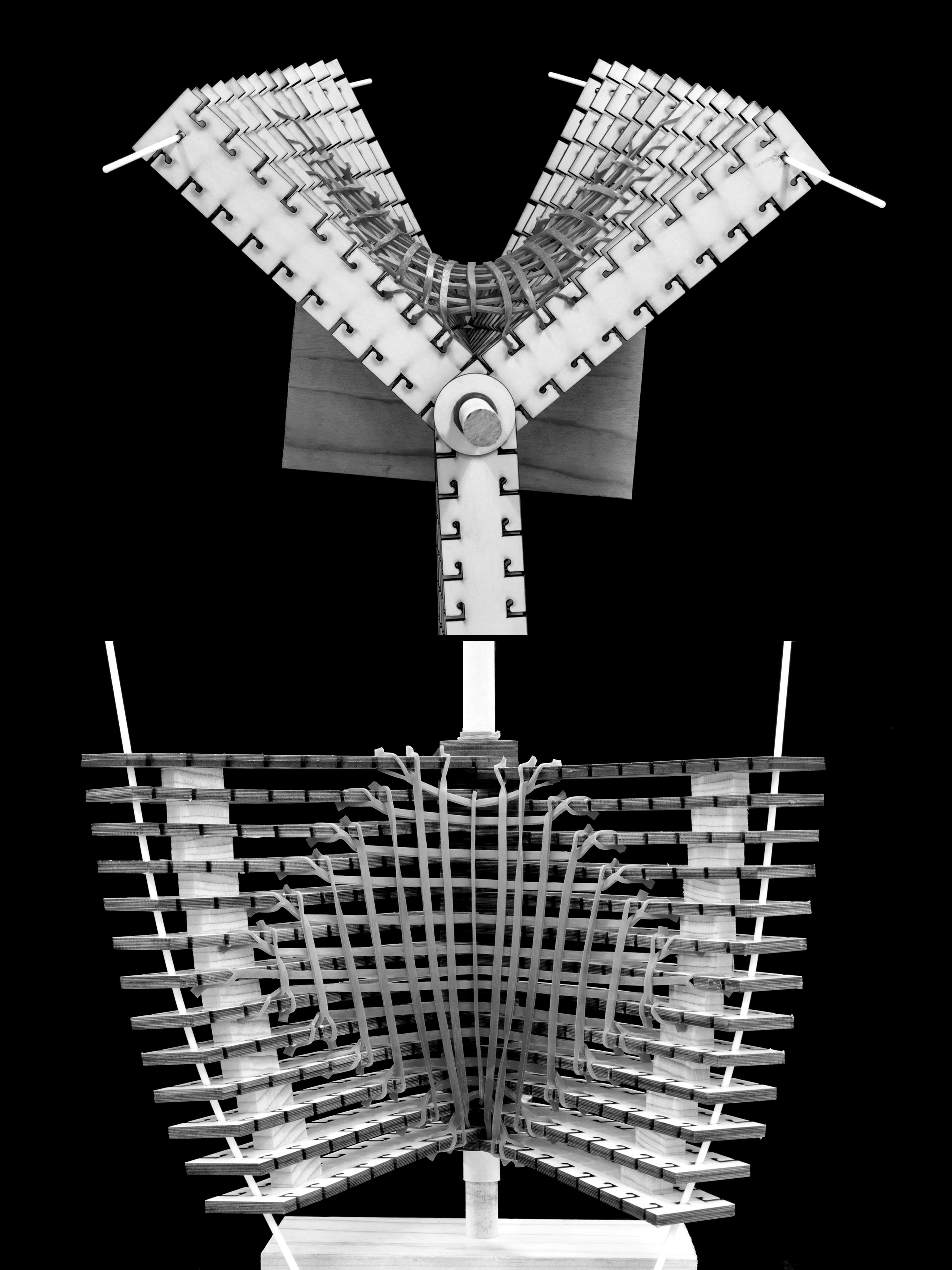 State 22 — alternate view