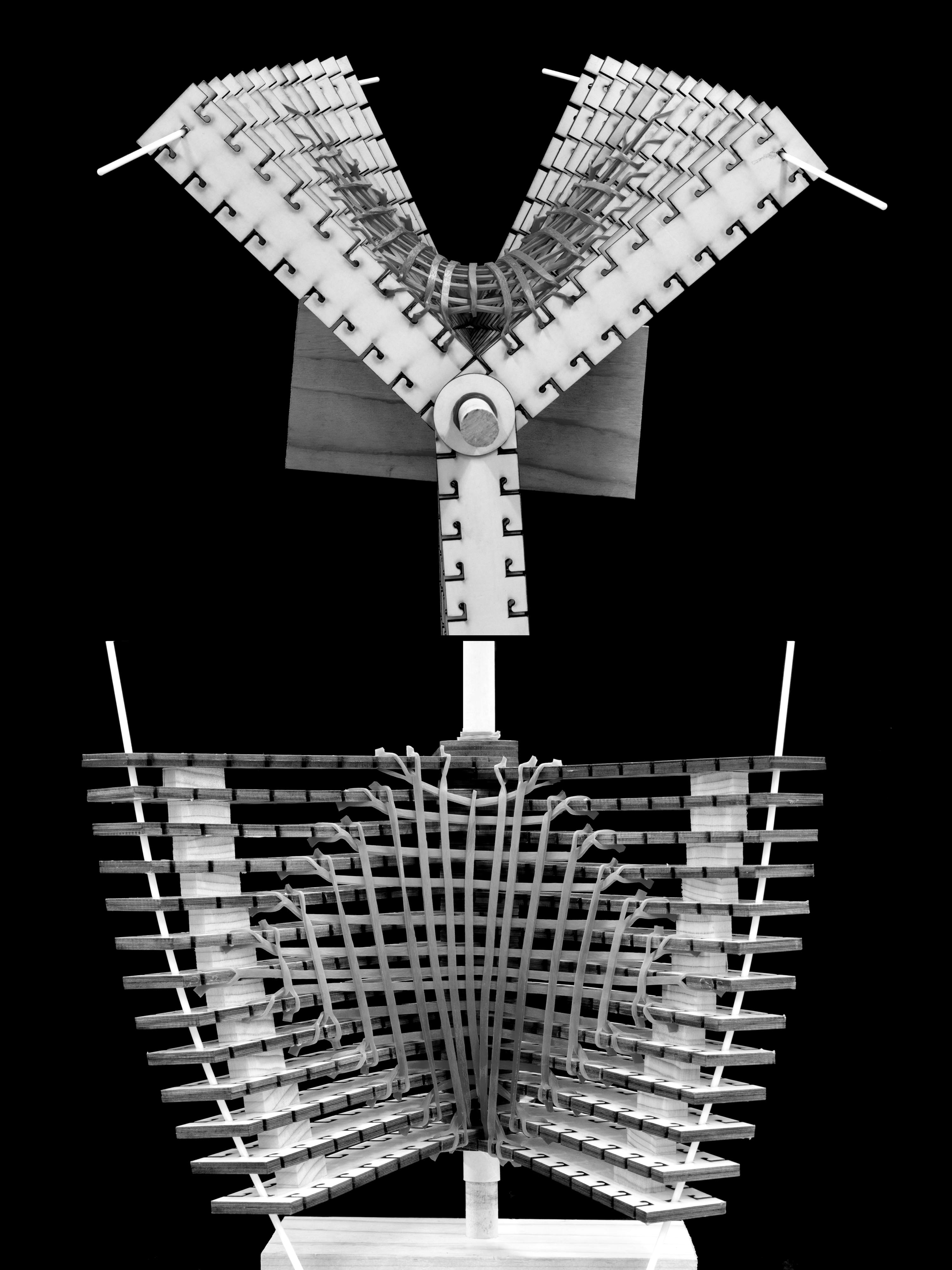 State 23 — alternate view