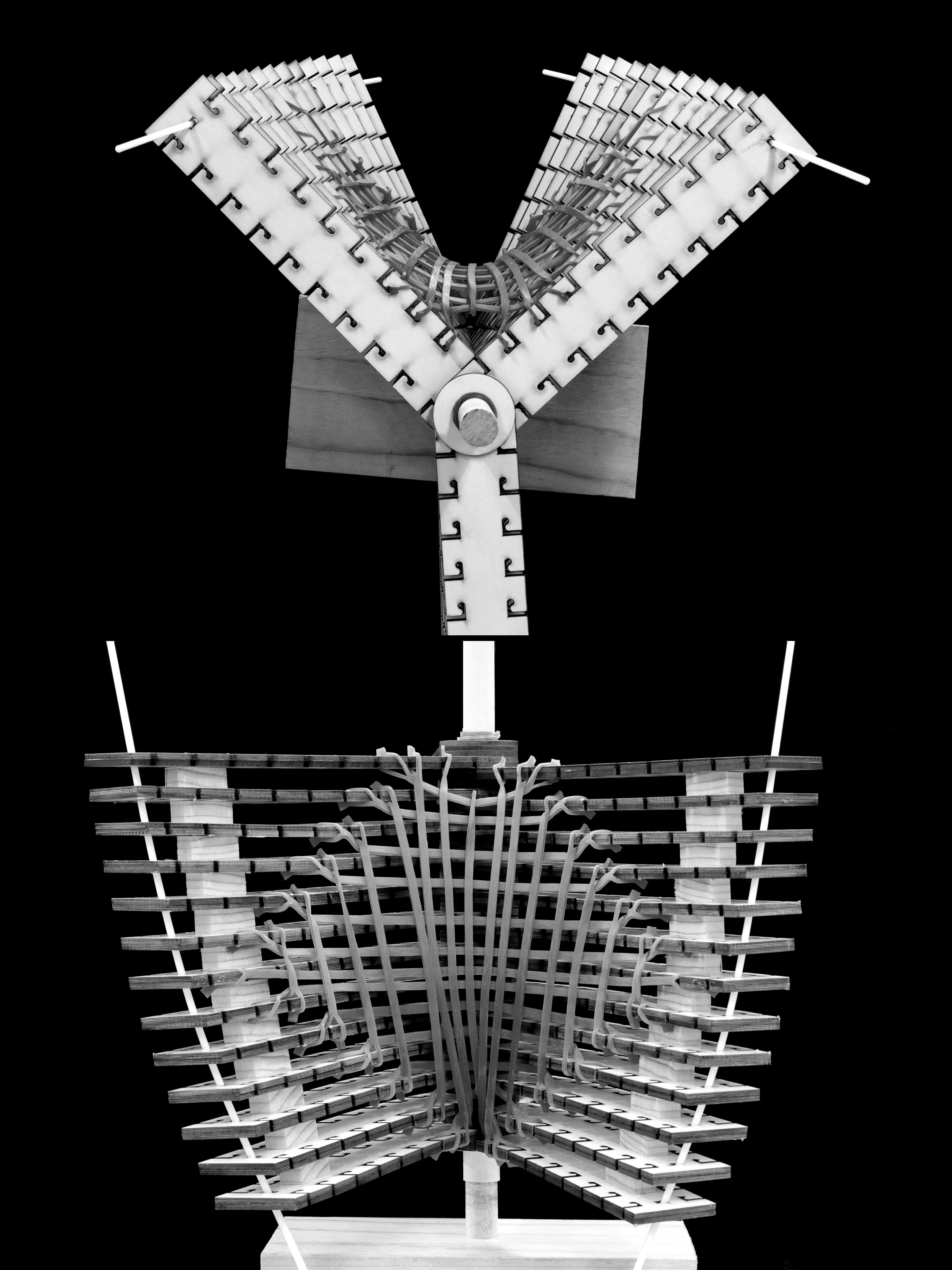 State 24 — alternate view