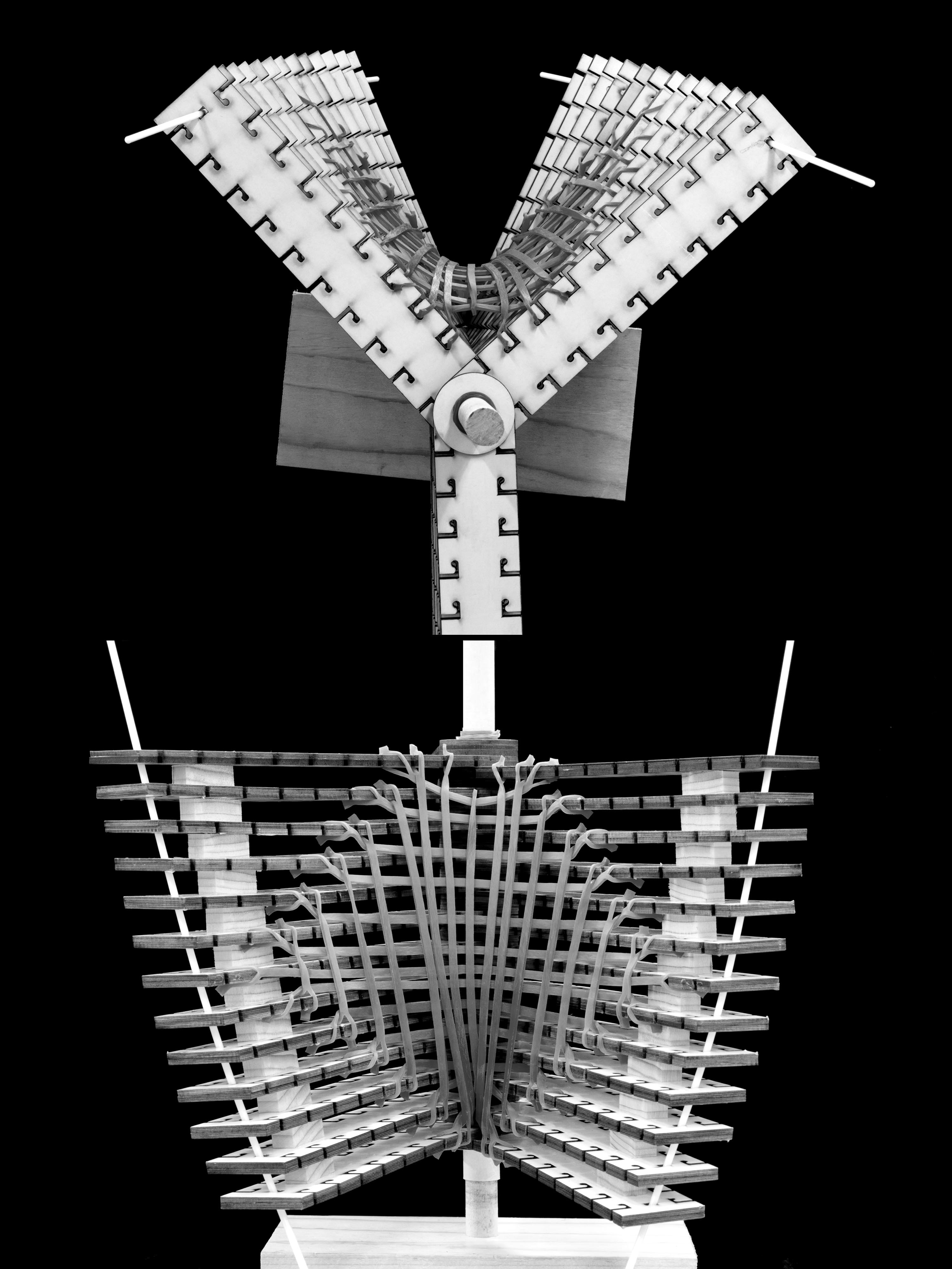 State 25 — alternate view